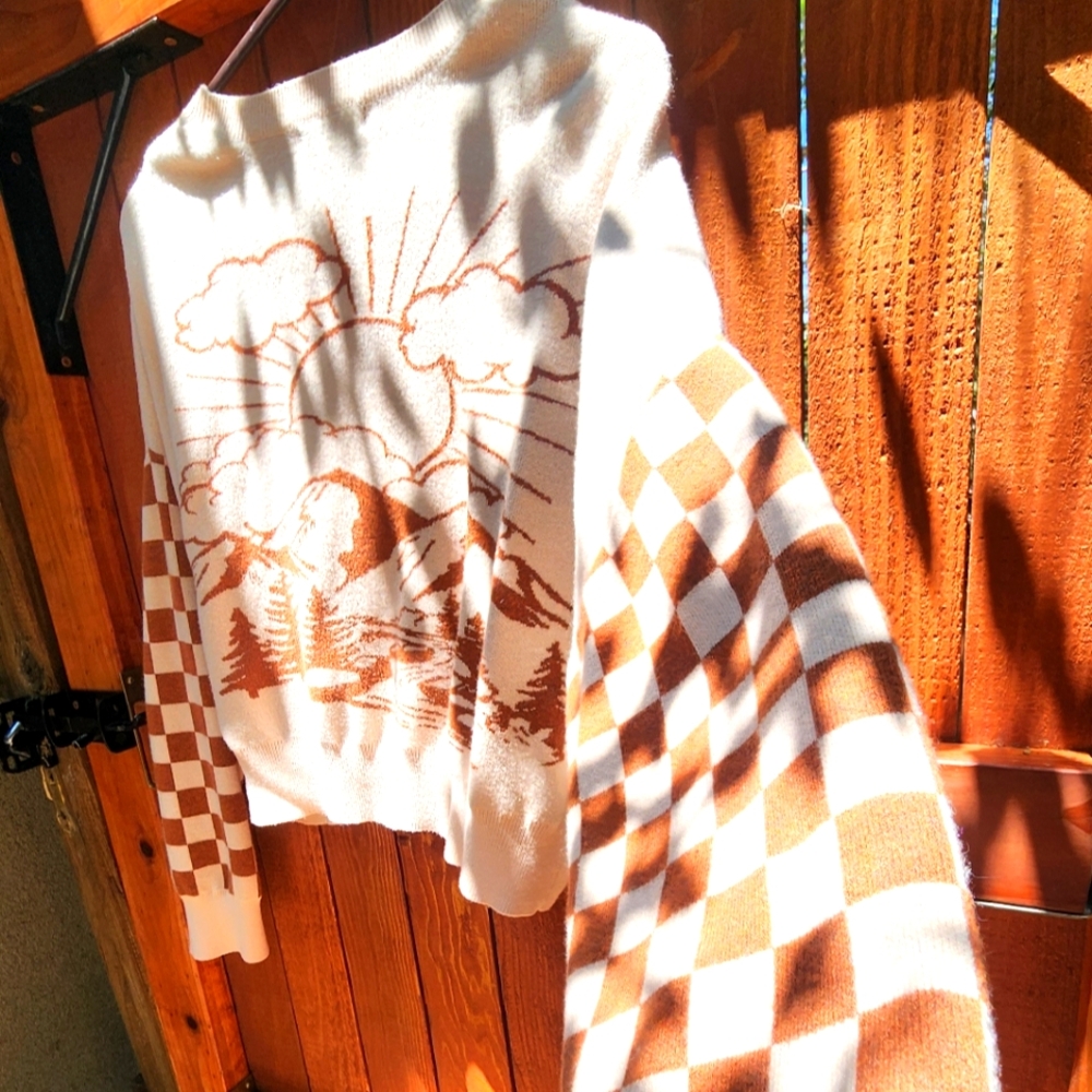 Altar'd State Cropped Sweater